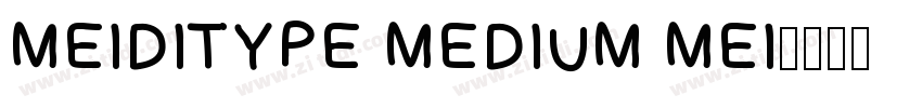 MEIDITYPE MEDIUM MEI字体转换